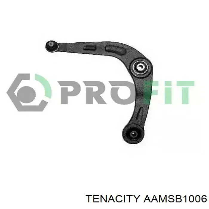 Сайлентблок переднего рычага AAMSB1006 Tenacity