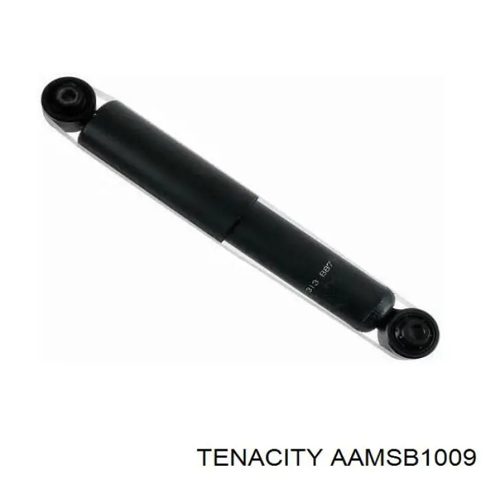 AAMSB1009 Tenacity