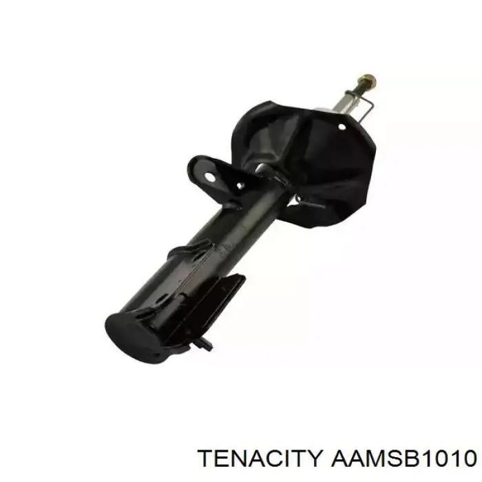 AAMSB1010 Tenacity