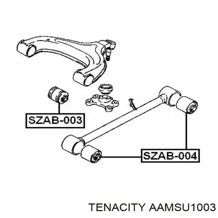 Suspensión, brazo oscilante trasero inferior AAMSU1003 Tenacity