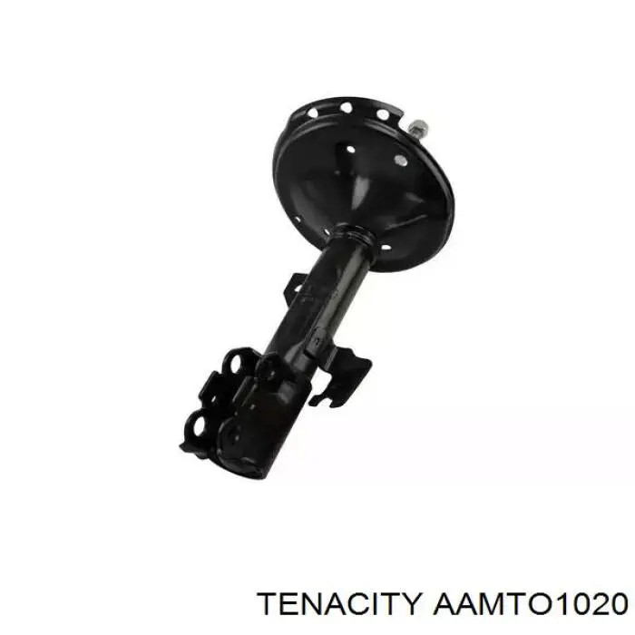 AAMTO1020 Tenacity Сайлентблок нижнего переднего рычага