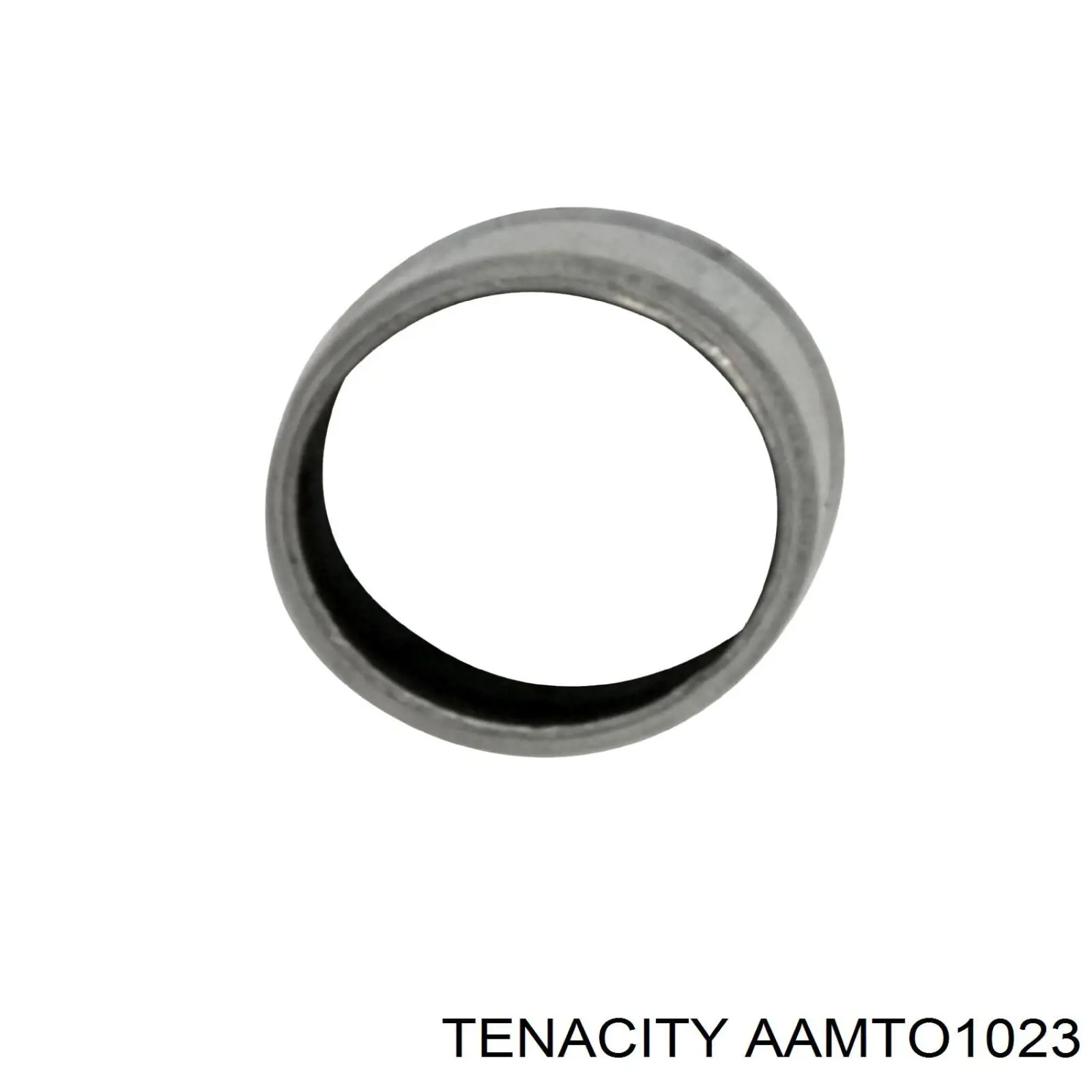 Сайлентблок переднего нижнего рычага AAMTO1023 Tenacity