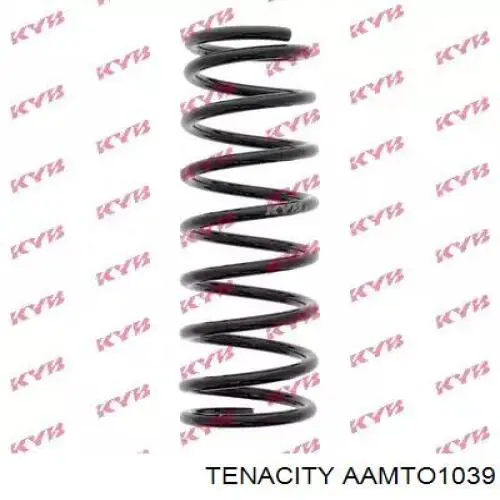 AAMTO1039 Tenacity Сайлентблок нижнего переднего рычага
