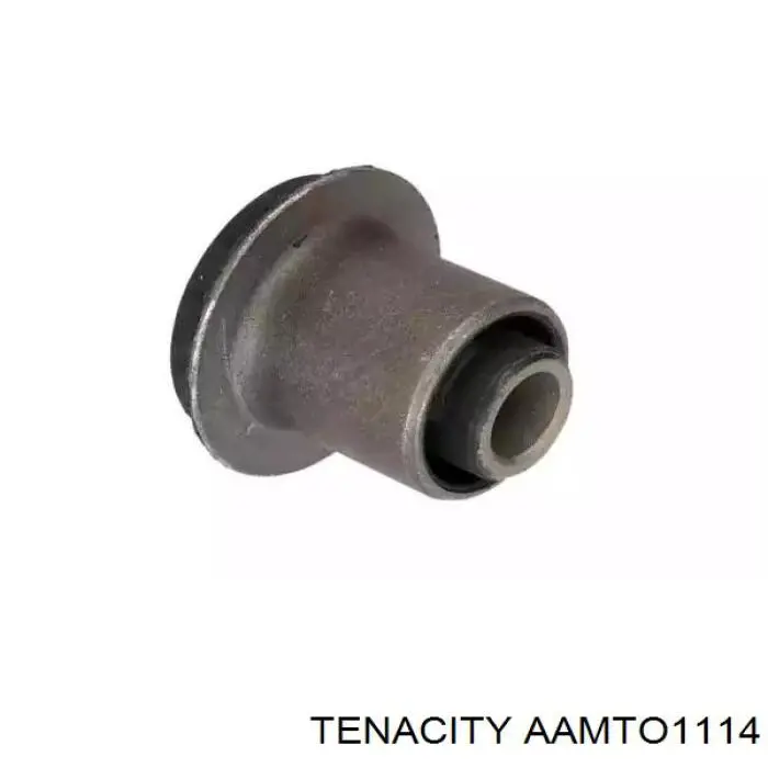  AAMTO1114 Tenacity