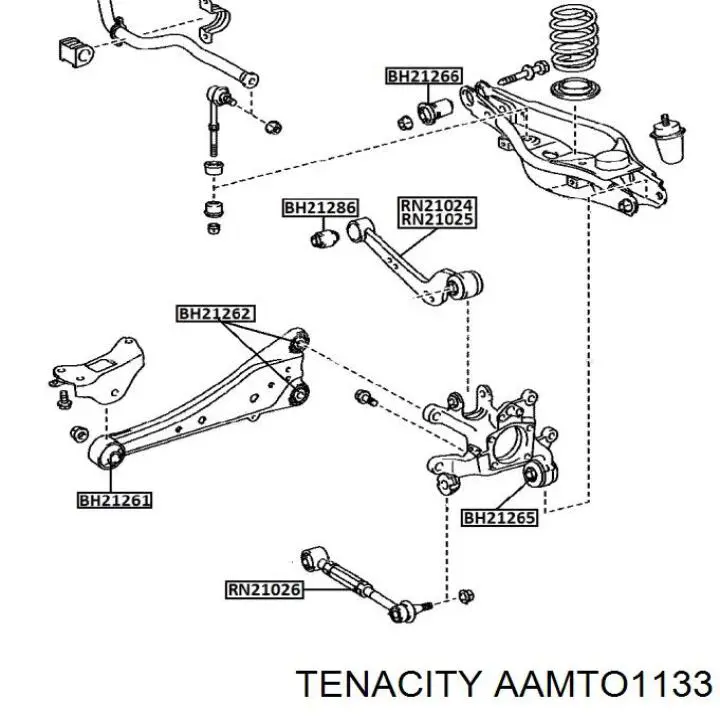 Suspensión, brazo oscilante trasero inferior AAMTO1133 Tenacity