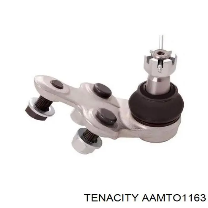 Сайлентблок верхнего переднего рычага Tenacity AAMTO1163