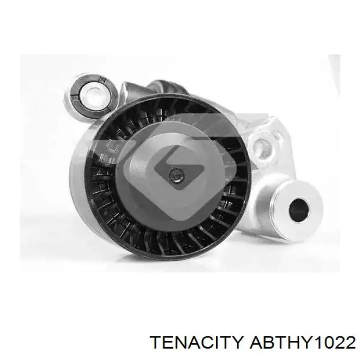 Tensor de correa, correa poli V ABTHY1022 Tenacity