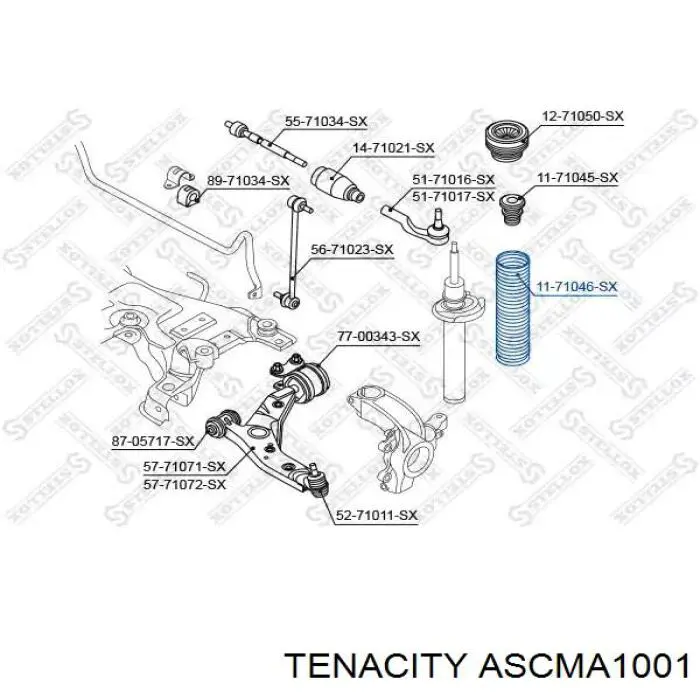 ASCMA1001 Tenacity