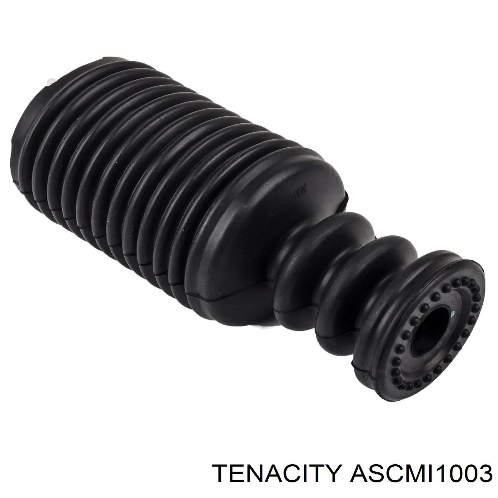 ASCMI1003 Tenacity