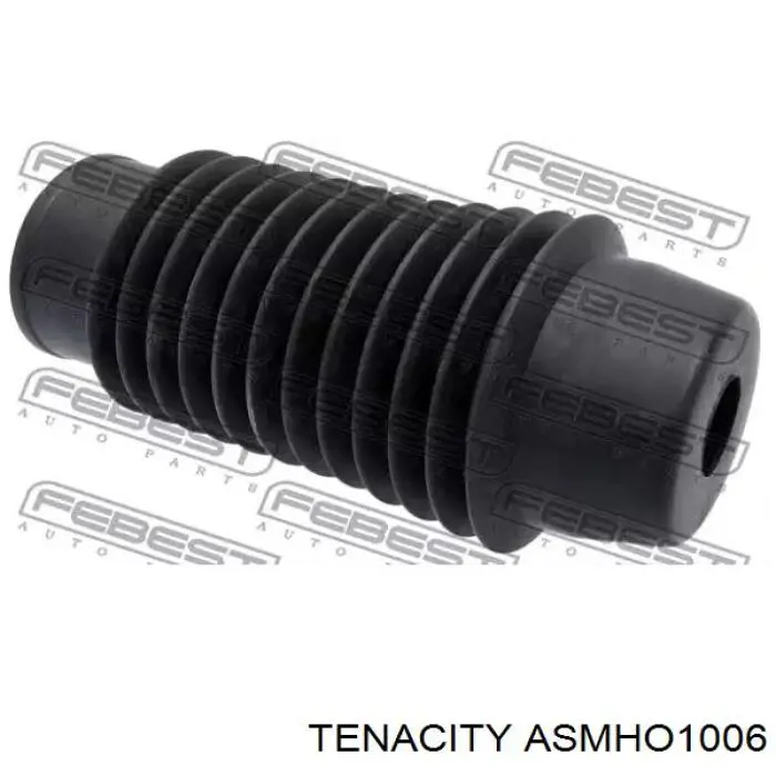 ASMHO1006 Tenacity