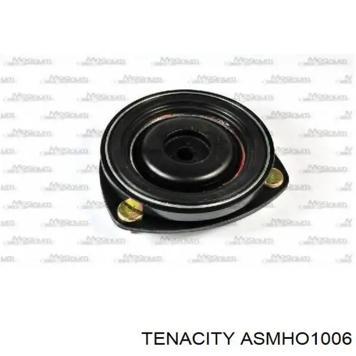 ASMHO1006 Tenacity
