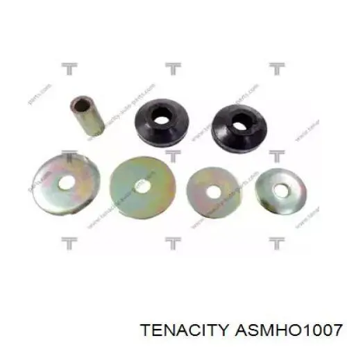 ASMHO1007 Tenacity