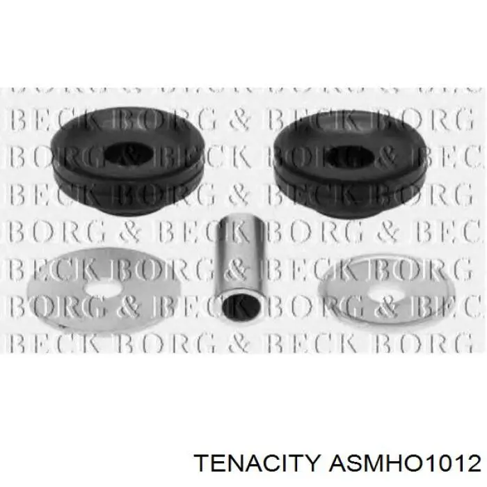 ASMHO1012 Tenacity