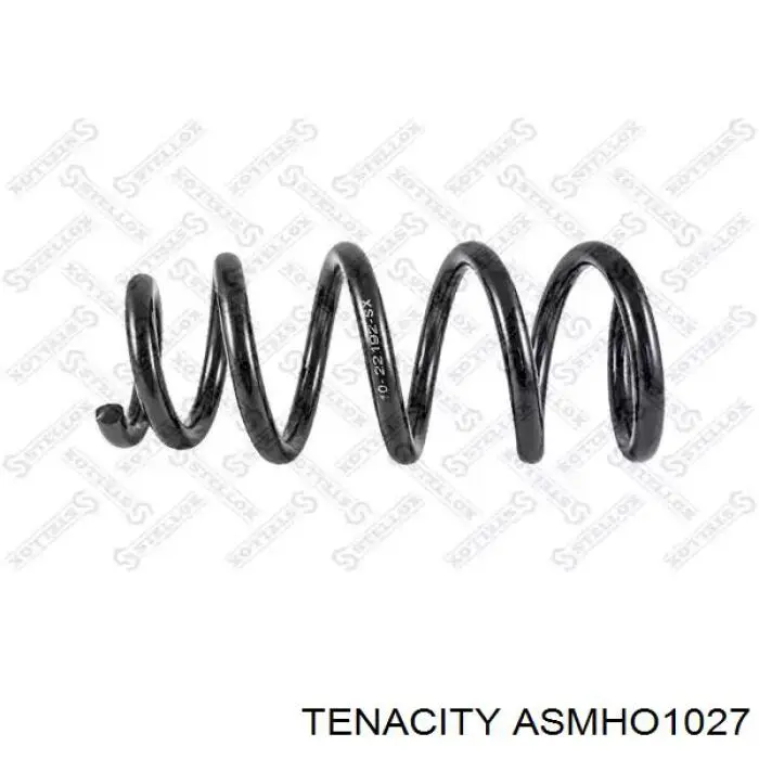 ASMHO1027 Tenacity