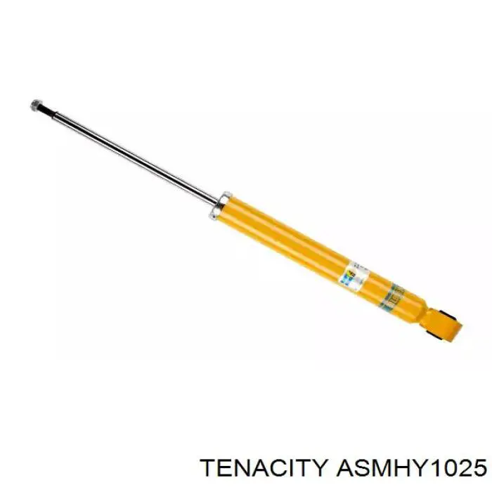 ASMHY1025 Tenacity