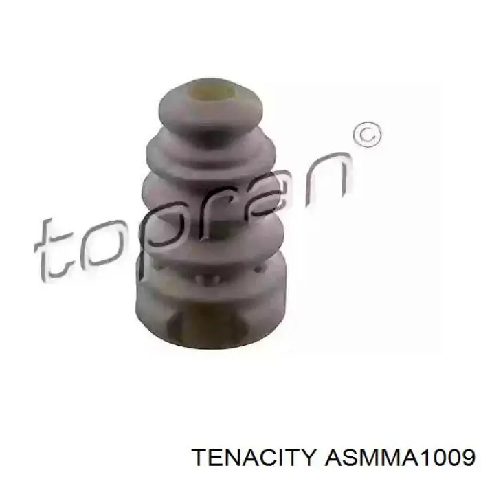 ASMMA1009 Tenacity