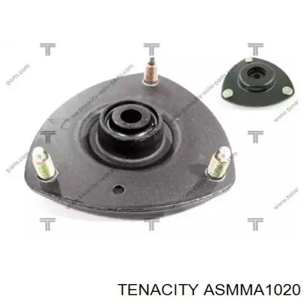 ASMMA1020 Tenacity
