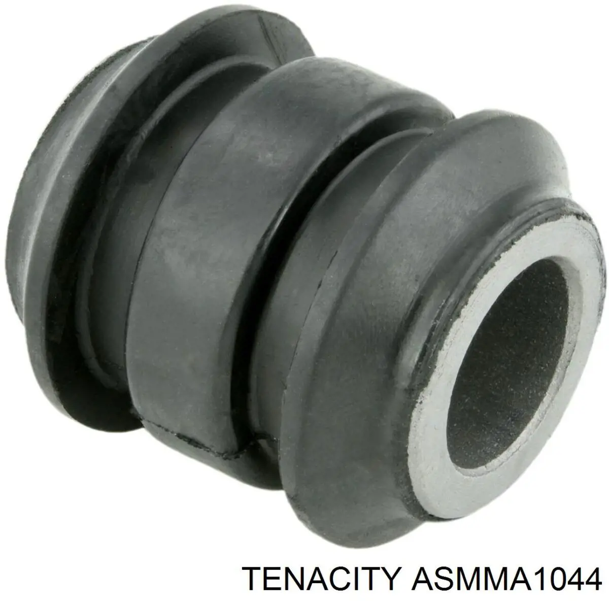 ASMMA1044 Tenacity