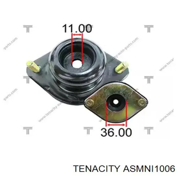 Soporte amortiguador trasero ASMNI1006 Tenacity