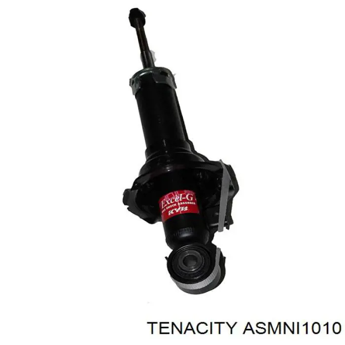 ASMNI1010 Tenacity