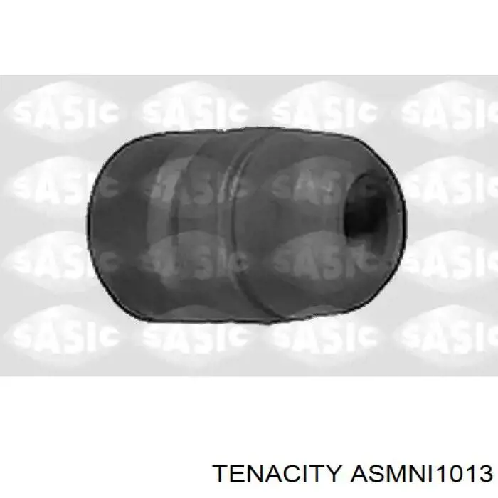 ASMNI1013 Tenacity