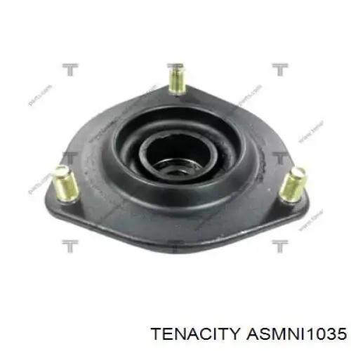 ASMNI1035 Tenacity