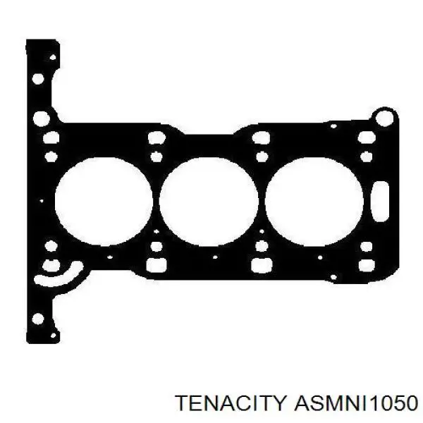 ASMNI1050 Tenacity