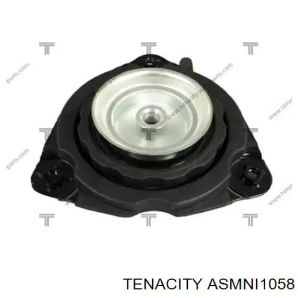 ASMNI1058 Tenacity