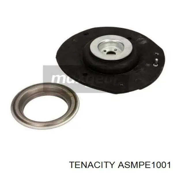 ASMPE1001 Tenacity