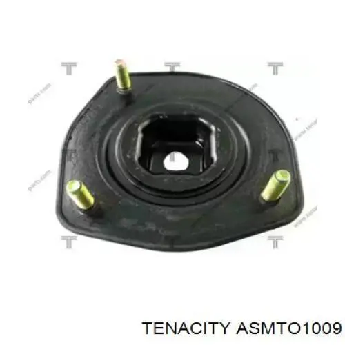 ASMTO1009 Tenacity