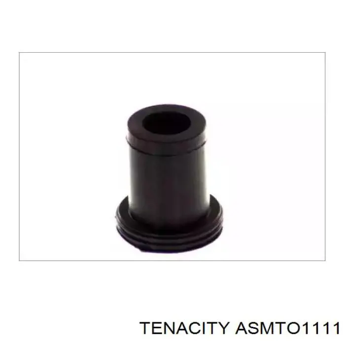  ASMTO1111 Tenacity