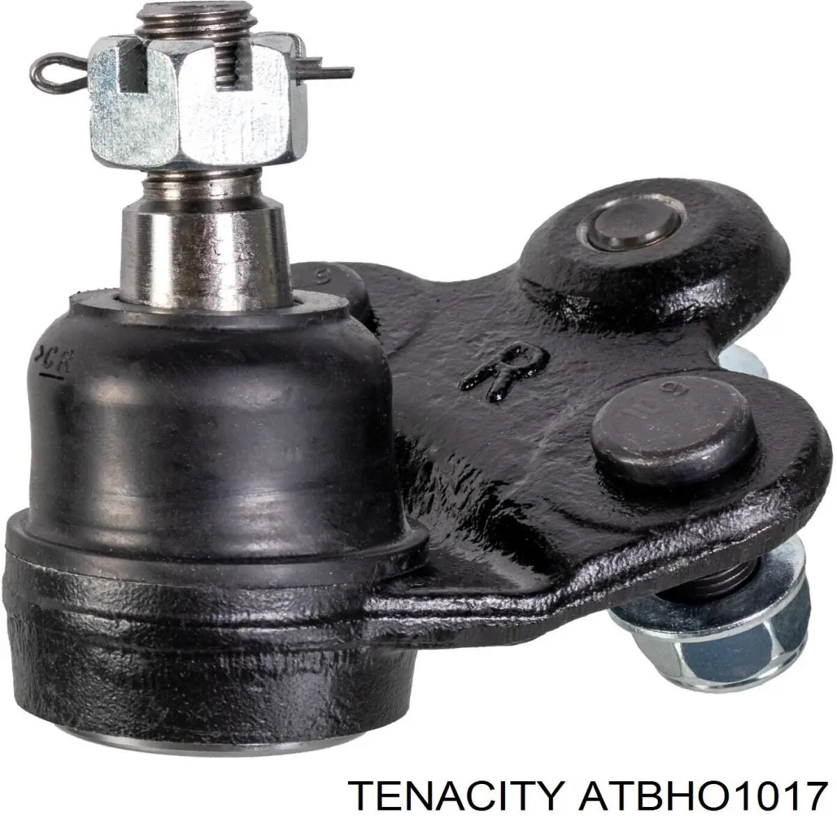 ATBHO1017 Tenacity