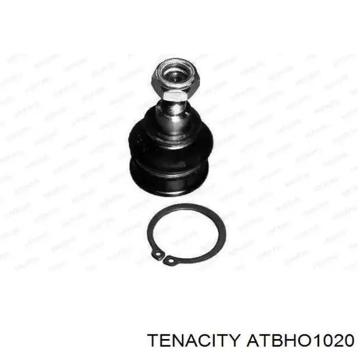 Купить ATBHO1020 Tenacity Нижняя шаровая опора