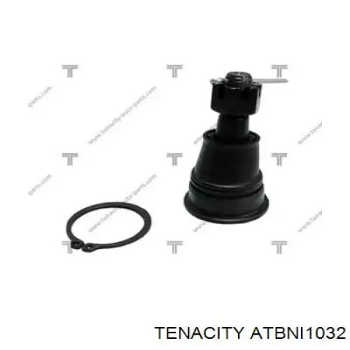 ATBNI1032 Tenacity