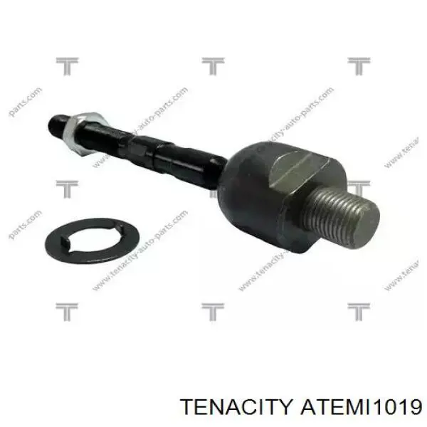 ATEMI1019 Tenacity