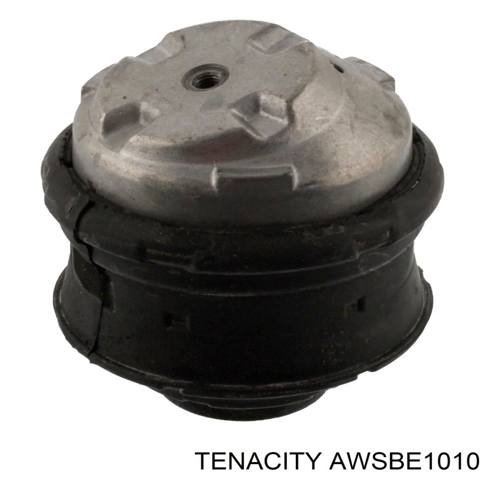 AWSBE1010 Tenacity