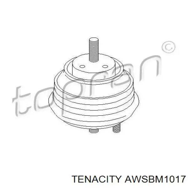 Soporte de motor derecho AWSBM1017 Tenacity