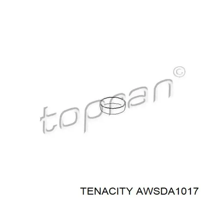 Подушка двигателя AWSDA1017 Tenacity