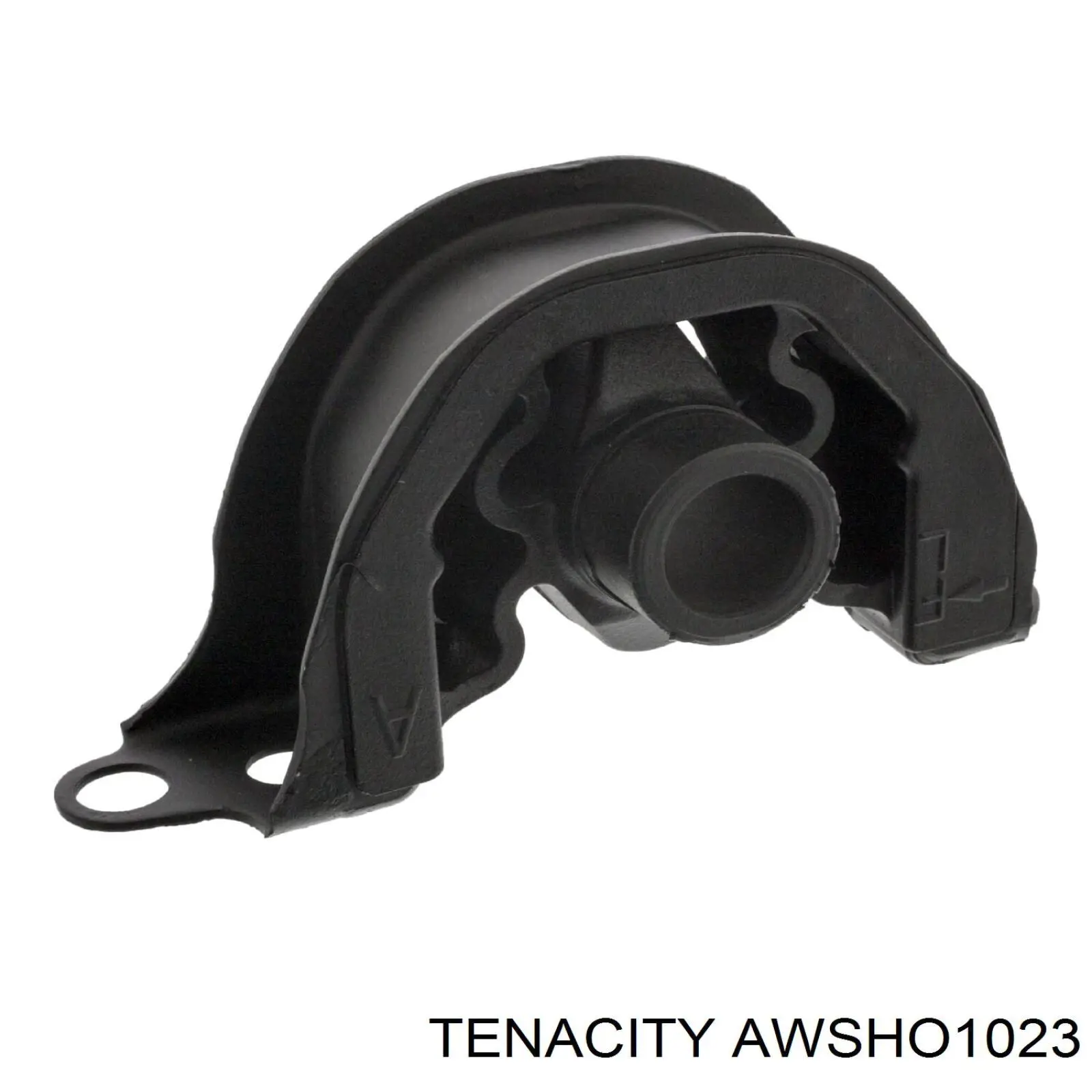 AWSHO1023 Tenacity