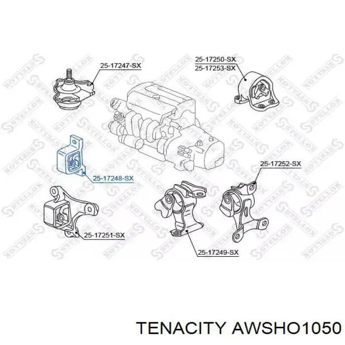 Soporte motor delantero AWSHO1050 Tenacity