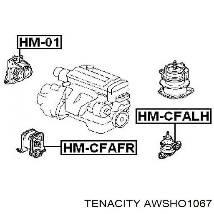 Гидроопора двигателя передняя Tenacity AWSHO1067 цена, от 17.59 USD