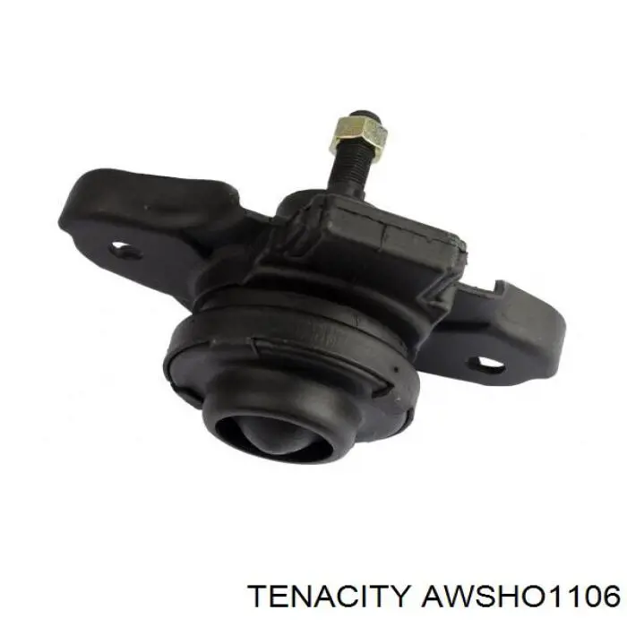 AWSHO1106 Tenacity