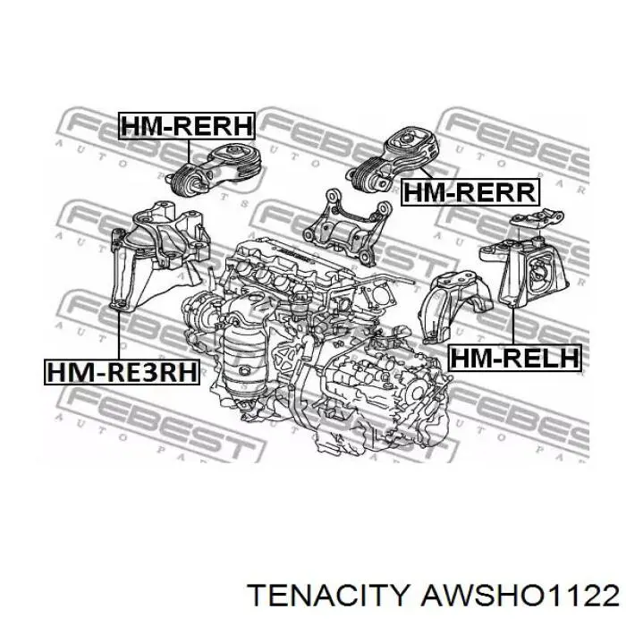 Купить AWSHO1122 Tenacity Подушка (опора) двигателя правая нижняя