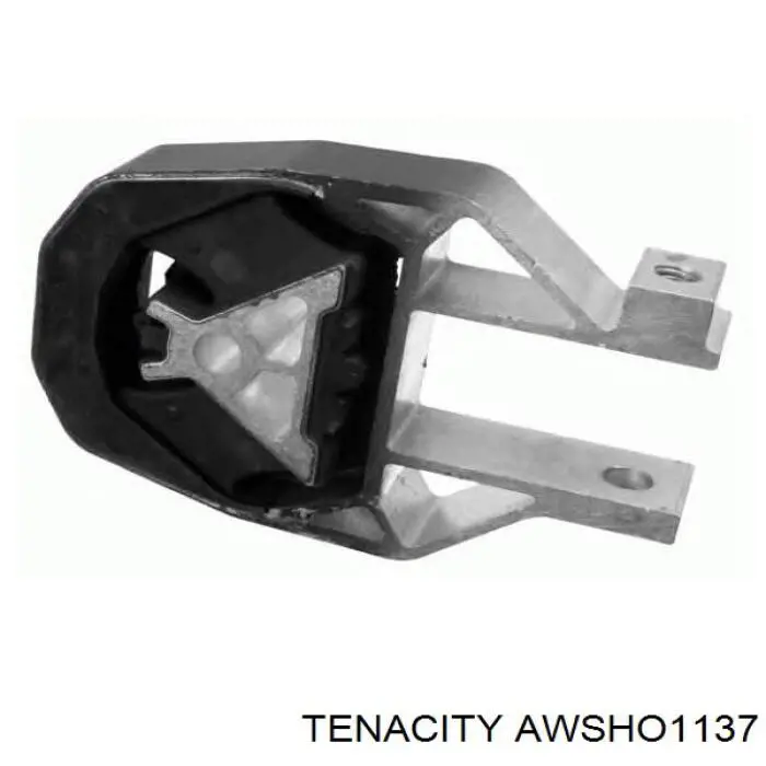 AWSHO1137 Tenacity