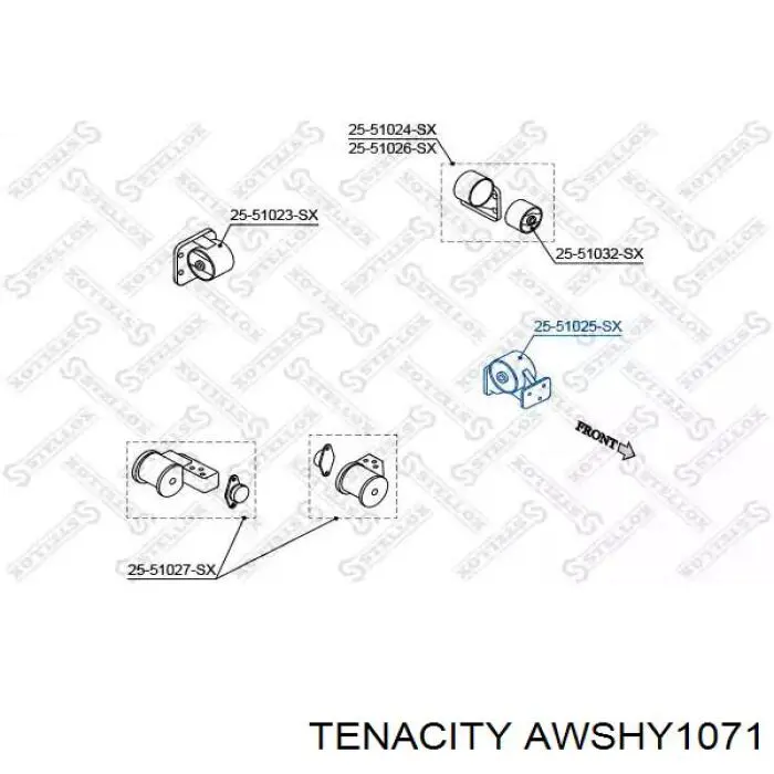 Передняя опора двигателя AWSHY1071 Tenacity
