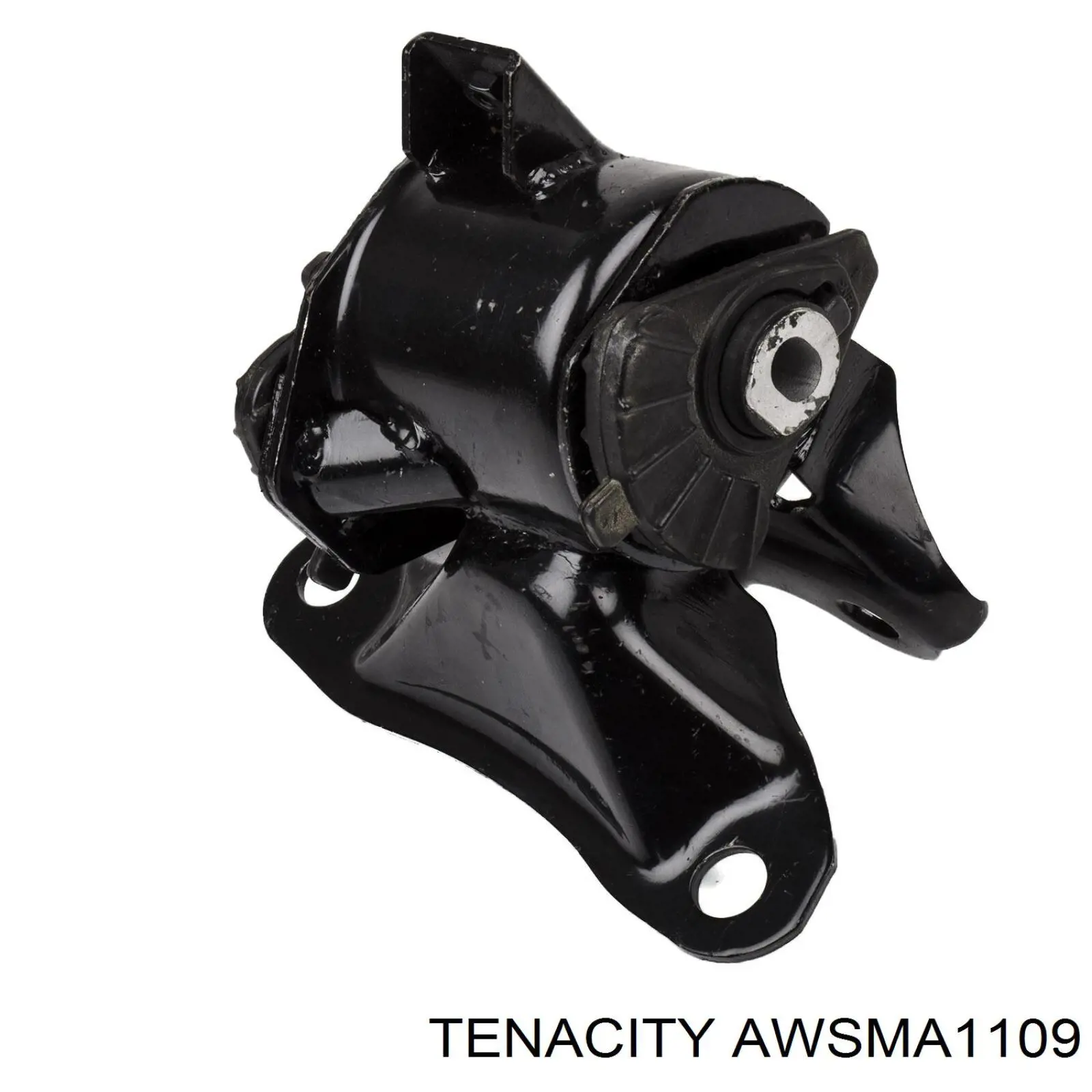 AWSMA1109 Tenacity