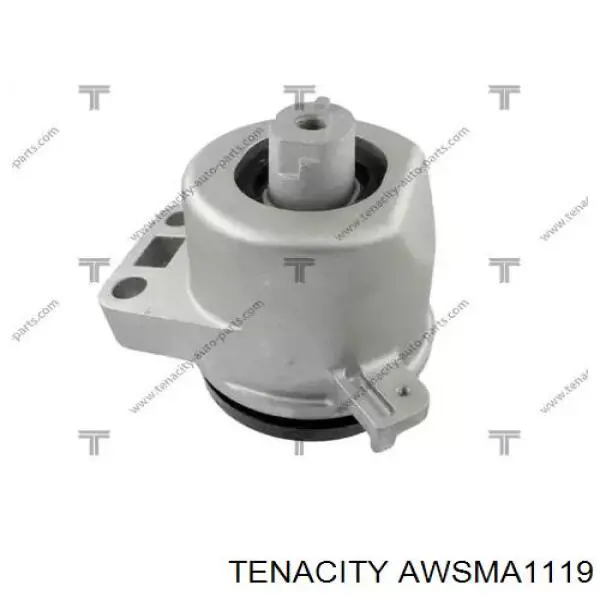 AWSMA1119 Tenacity coxim (suporte direito de motor)