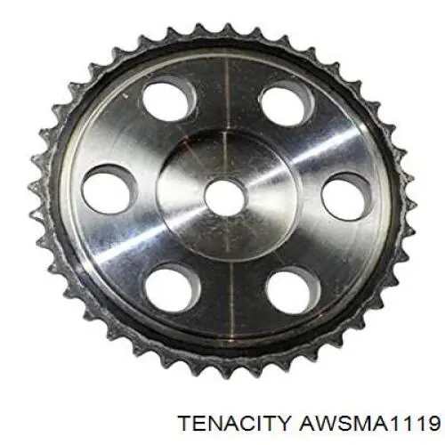 Soporte de motor derecho AWSMA1119 Tenacity