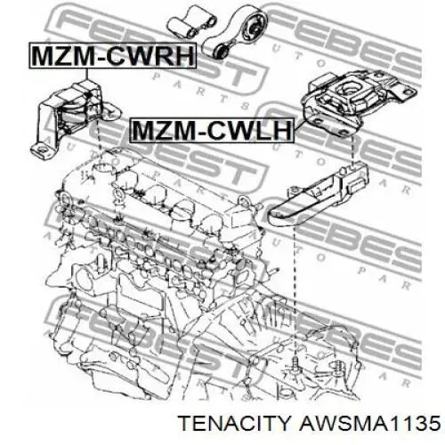 AWSMA1135 Tenacity