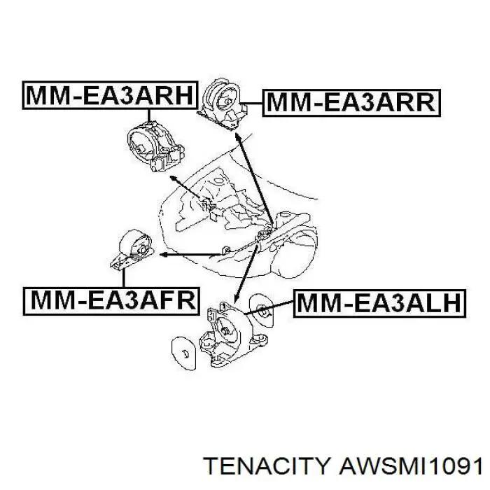 AWSMI1091 Tenacity